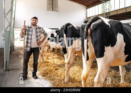 Porträt eines männlichen Vieharbeiters, der mit einer Heugabel neben schwarz-weißen Kühen in einer Scheune steht. Stockfoto