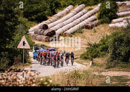 Lanciano, Italien. Juli 2024. Peloton während der 8. Etappe der Giro d’Italia Women, von Pescara bis L’Aquila, Italien Sonntag, 14. Juli 2024. Sport - Radsport . (Foto: Marco Alpozzi/Lapresse) Credit: LaPresse/Alamy Live News Stockfoto