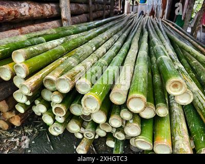Eine Ansammlung grüner Bambusstangen stapelten sich übereinander in einem Stapel Stockfoto