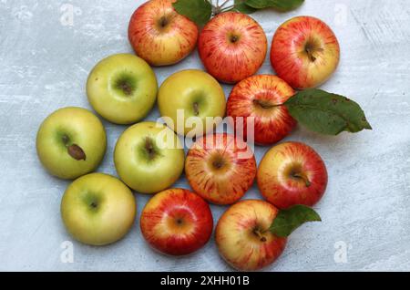 Wunderschöne grüne und rote Äpfel von oben. Saftige Bio-Früchte auf hellgrauem, strukturiertem Hintergrund mit Platz für Text. Konzept für gesunde Ernährung. Stockfoto