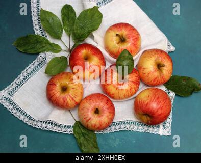 Äpfel auf einer weißen Serviette auf türkisfarbenem Hintergrund mit Platz für Text. Einfache Komposition Stillleben mit rotem Apfel. Stockfoto