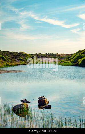 Sehr heißer Tag in Bournemouth - Hengistbury Head. Stockfoto