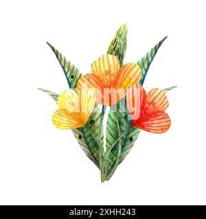 Wildblumen mit Wasserfarben. Isolierter Blumenstrauß aus niedlichen gelben und orangen Blumen auf weißem Hintergrund. Stockfoto