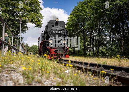 Brocken im Harz 14072024 - die Harzer Schmalspur Bahn HSB unterhaelt den Brockenexpress, der mit einer Dampflok zum Gipfel faehrt am Brocken im Harz in Sachsen-Anahlt. Schierke Brocken Sachsen-Anhalt Deutschland *** Brocken im Harz 14072024 die Harzer Schmalspurbahn HSB betreibt den Brocken-Express, der mit einer Dampflok am Brocken im Harz in Sachsen zum Gipfel fährt Anhalt Schierke Brocken Sachsen-Anhalt Deutschland 140724 ppb-36 Stockfoto