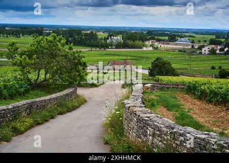 Allgemeiner Blick auf die Weinberge im Burgund, in der Nähe des Dorfes Pommard, Burgund, Frankreich. Europa. Stockfoto