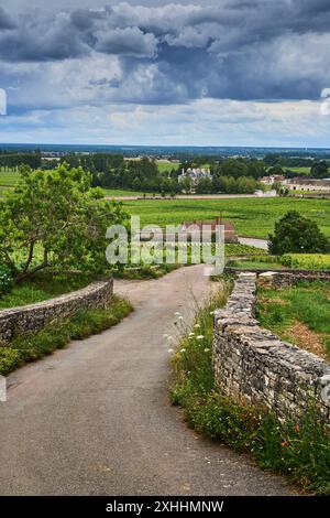 Allgemeiner Blick auf die Weinberge im Burgund, in der Nähe des Dorfes Pommard, Burgund, Frankreich. Europa. Stockfoto