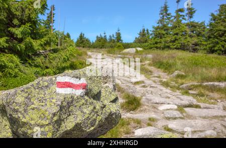 Rote Wegmarkierung auf einem Felsen gemalt, Karkonosze (Riesengebirge), selektiver Fokus, Polen. Stockfoto