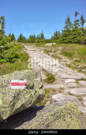 Rote Wegmarkierung auf einem Felsen gemalt, Karkonosze (Riesengebirge), selektiver Fokus, Polen. Stockfoto