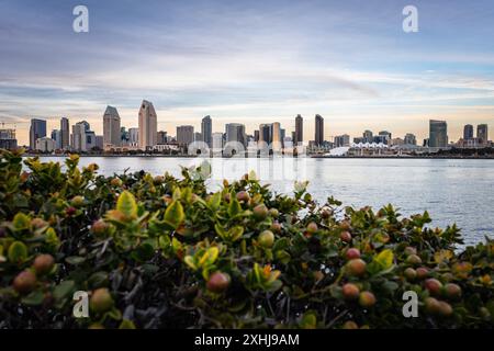 Skyline von San Diego, Kalifornien von Coronado Island in der Abenddämmerung aus gesehen Stockfoto