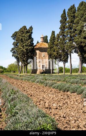 Oratorium von San Guido, erbaut von der Familie Gherardesca vor der berühmten Viale dei Cipressi (Zypressenallee) in Bolgheri, Toskana, Italien Stockfoto