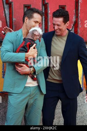 Ryan Reynolds, Peggy aka Dogpool und Hugh Jackman nehmen am UK Fan Event „Deadpool & Wolverine“ im Eventim Apollo in London Teil. Stockfoto
