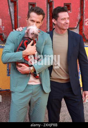 London, Großbritannien. Juli 2024. Ryan Reynolds, Peggy alias „Dogpool“ und Hugh Jackman nehmen am UK Fan Event „Deadpool & Wolverine“ im Eventim Apollo in London Teil. (Foto: Fred Duval/SOPA Images/SIPA USA) Credit: SIPA USA/Alamy Live News Stockfoto