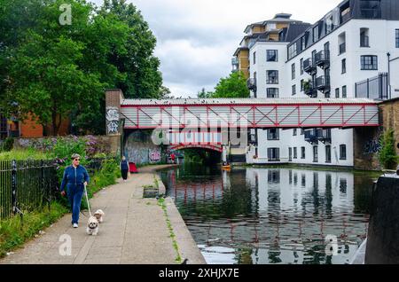 Eine Dame geht mit ihren Hunden entlang des Paddington Arm des Grand Union Canal in London, einer ruhigen, friedlichen Lage mitten in der Stadt Stockfoto