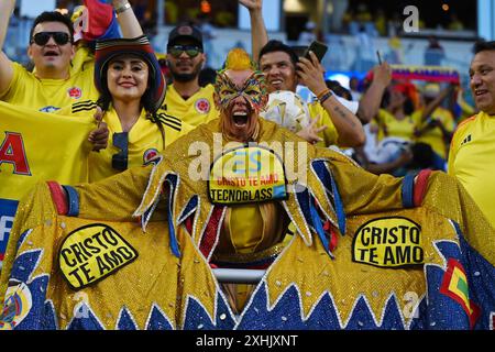 Miami Gardens, Usa. Juli 2024. Kolumbianische Fans, die am 14. Juli das CONMEBOL Copa America 2024 Finale zwischen Argentinien und Kolumbien im Hard Rock Stadium in Miami Gardens, USA, absolvierten. Foto: Rodrigo Caillaud/DiaEsportivo/Alamy Live News Credit: DiaEsportivo/Alamy Live News Stockfoto