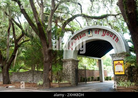 Baldachin aus Live Oaks mit hängendem Moos über der Straße, die zum Jungbrunnen in St. Augustine, FL, USA führt Stockfoto