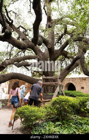 Alamo Mission, Missionen Naitonal Park, San Antonio, TX, USA Stockfoto