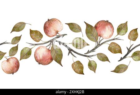 Nahtlose horizontale Äpfel und Blätter im Herbst. Handgezeichneter Obstrand in Aquarellen. Stockfoto