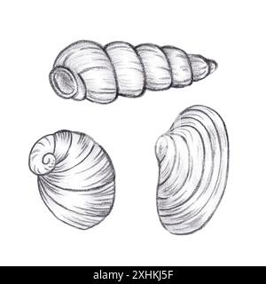 Handgezeichneter schwarzer Bleistift-Satz Muscheln isoliert auf weißem Hintergrund. Marine-Illustration kann für Karten, Etiketten, Einladungen und andere gedruckte Artikel verwendet werden Stockfoto