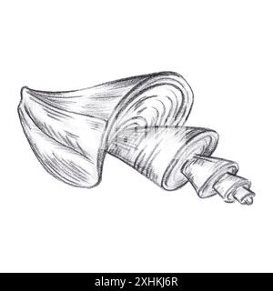 Hand gezeichneter schwarzer Kohlestift Spirale Muschel isoliert auf weißem Hintergrund. Marine Illustrationen können für Karten, Etiketten, Einladungen und andere Drucke verwendet werden Stockfoto