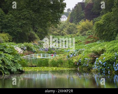 Blick über den Mallard Pond in Richtung Mallard Bridge im Talgarten im Trebah subtropischen Garten, Cornwall, Großbritannien Stockfoto