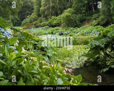 Blick über den Mallard Pond in Richtung Mallard Bridge im Talgarten im Trebah subtropischen Garten, Cornwall, Großbritannien Stockfoto