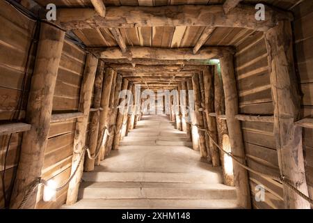 Frankreich, Aude, Portel des Corbieres, Terra Vinea Weinkeller in Gipskellern 80 m tief, bewaldete Galerie Stockfoto