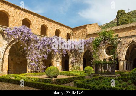 Frankreich, Aude, Cathare Country, Narbonne, Narbonnaise regionaler Naturpark im Mittelmeer, Fontfroide Abbey, Kreuzgang Stockfoto