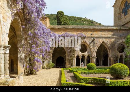 Frankreich, Aude, Cathare Country, Narbonne, Narbonnaise regionaler Naturpark im Mittelmeer, Fontfroide Abbey, Kreuzgang Stockfoto