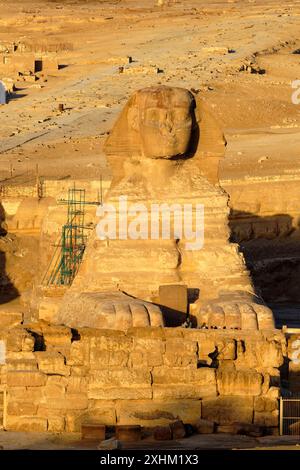 Ägypten, Kairo, Gizeh, von der UNESCO als Weltkulturerbe gelistet, die Sphinx Stockfoto