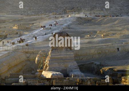 Ägypten, Kairo, Gizeh, von der UNESCO als Weltkulturerbe gelistet, die Sphinx Stockfoto