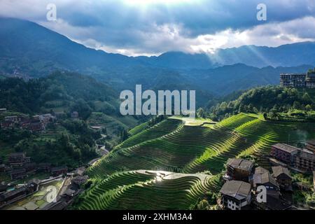 (240715) -- LONGSHENG, 15. Juli 2024 (Xinhua) -- ein Luftdrohnenfoto vom 11. Juli 2024 zeigt Terrassenfelder im Dorf Dazhai im County Longsheng, südchinesischer Autonomen Region Guangxi Zhuang. Hinter den malerischen Longji Rice Terrassen liegt das Dorf Dazhai, flankiert von üppigem Grün, majestätischen Bergen und einer vielfältigen Auswahl an Gastfamilien. Das Dorf wurde von der Welttourismusorganisation (UNWTO) für seine atemberaubende landwirtschaftlich geprägte Aussicht zu den besten Tourismusdörfern des Jahres 2022 ernannt und ist stolz auf seine robusten Gastfamilien, die jährlich mehr als 500.000 Yuan (ca. Stockfoto