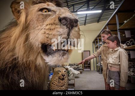 Namibia, Otjozondjupa Region, Otjiwarongo, Kings Taxidermy, Präparierwerkstatt für Jagdtrophäen Stockfoto