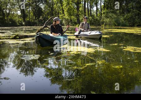 Frankreich, Bas Rhin, Strabourg, Naturschutzgebiet Rohrschollen, Inventarisierung der Wasserbohrmaschine im Brunnwasser Stockfoto