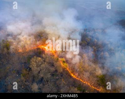 Waldbrände setzen Kohlendioxidemissionen (CO2) und andere Treibhausgase (THG) frei, die zum Klimawandel und zur globalen Erwärmung beitragen. Stockfoto