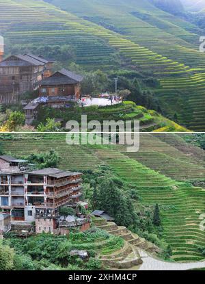 (240715) -- LONGSHENG, 15. Juli 2024 (Xinhua) -- dieses Kombi-Foto zeigt Luftaufnahmen einer Gastfamilie vor (oben, Dateifoto) und nach der Renovierung (unten, aufgenommen vom Xinhua-Journalisten Liu Xu am 26. Juni 2024) im Dorf Dazhai im Bezirk Longsheng, südchinesischer Autonomen Region Guangxi Zhuang. Hinter den malerischen Longji Rice Terrassen liegt das Dorf Dazhai, flankiert von üppigem Grün, majestätischen Bergen und einer vielfältigen Auswahl an Gastfamilien. Von der Welttourismusorganisation (UNWTO) für seine atemberaubende landwirtschaftlich geprägte Aussicht zu den besten Tourismusdörfern des Jahres 2022 ernannt, ist dieses Dorf auch ein beliebtes Ziel Stockfoto