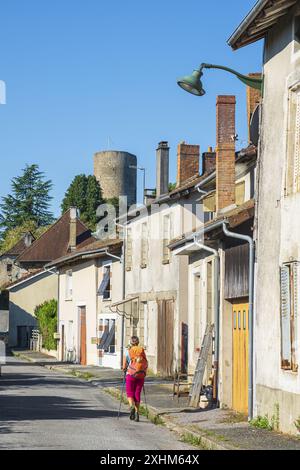 Frankreich, Haute-Vienne, Chalus, Wanderung auf der Via Lemovicensis oder Vezelay, einer der Hauptwege nach Santiago de Compostela, dem Turm von Chalus-Chabrol Stockfoto