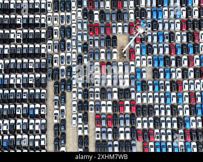 LIANYUNGANG, CHINA - 15. JULI 2024 - Eine große Anzahl von Fahrzeugen wird zum Verladen im Hafen von Lianyungang, Provinz Jiangsu, am 15. Juli 2024 gesammelt. Stockfoto
