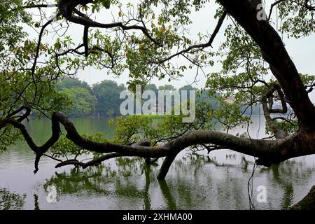 Turtle Tower (Thap Rua), ein Turm am Hoan Kiem See in Hang Trong, Hoan Kiem, Hanoi, Vietnam Stockfoto