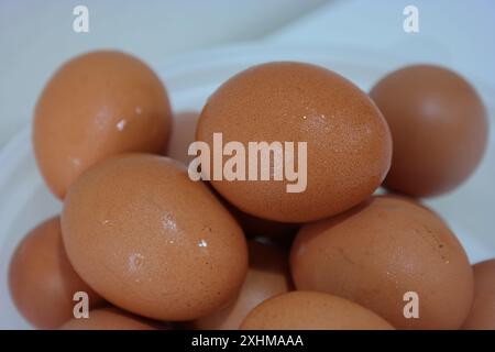 Frische Eier in einem Plastikkorb Stockfoto