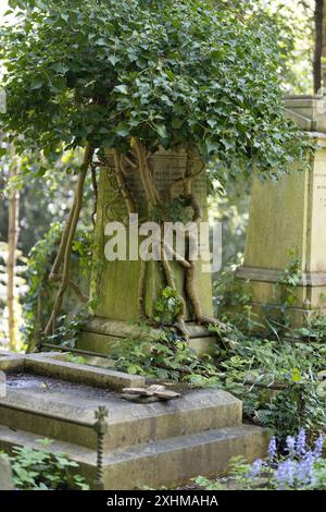 Die Natur übernimmt – Efeu wächst fruchtbar um ein altes Grab mit dicken Efeustämmen an der Basis. Highgate Cemetery, London, Großbritannien Stockfoto