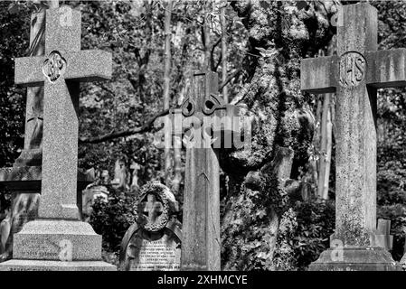 Verschiedene Stile von Steinkreuzen markieren Gräber auf dem Highgate Cemetery, London, Großbritannien Stockfoto