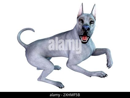 3D-Rendering für eine blaue Dogge Hund auf weißem Hintergrund Stockfoto