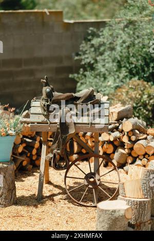 Alter Sattel auf einem Holzständer neben einer Topfpflanze. Stockfoto