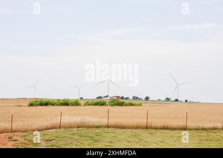 Windturbinen in einem riesigen, goldenen Weizenfeld unter klarem Himmel. Stockfoto