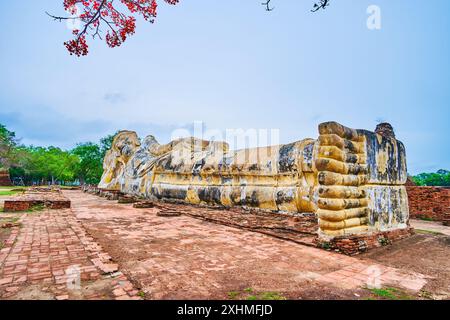 Die große Statue des liegenden Buddha des Wat Lokaya Sutha in Ayutthaya, Thailand Stockfoto