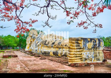 Die große Statue des liegenden Buddha des Wat Lokaya Sutha in Ayutthaya, Thailand Stockfoto