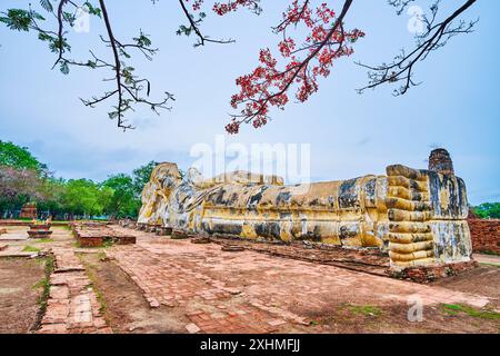 Die große Statue des liegenden Buddha des Wat Lokaya Sutha in Ayutthaya, Thailand Stockfoto