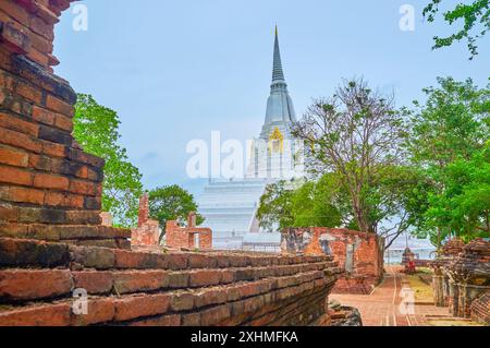 Besuchen Sie den antiken Tempel Wat Phukhao Thong mit seinem hohen weißen Chedi, Ayutthaya, Thailand Stockfoto