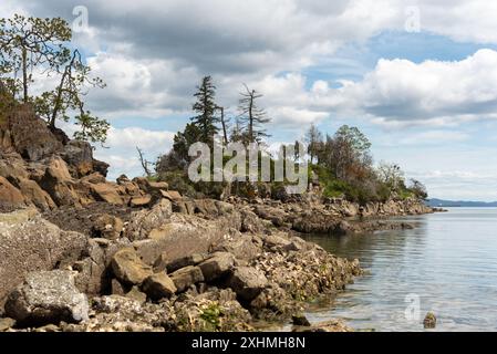 Die zerklüftete Küste von Ganges auf Salt Spring Island, British Columbia. Stockfoto