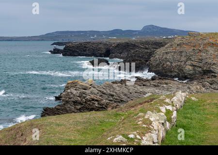 Zerklüftete Küste in der Nähe von Rhoscolyn auf der Insel Anglesey, Nordwales. Stockfoto